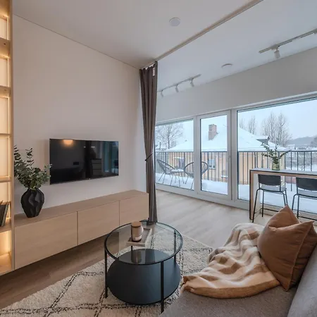 Designer Penthouse With Huge Terrace & Fast Wi-fi Apartmán Kaunas